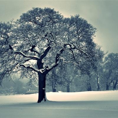 pg娱乐电子游戏官网下载手机版