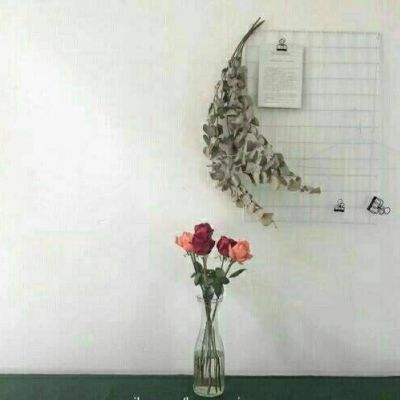 宝威体育官网下载手机版